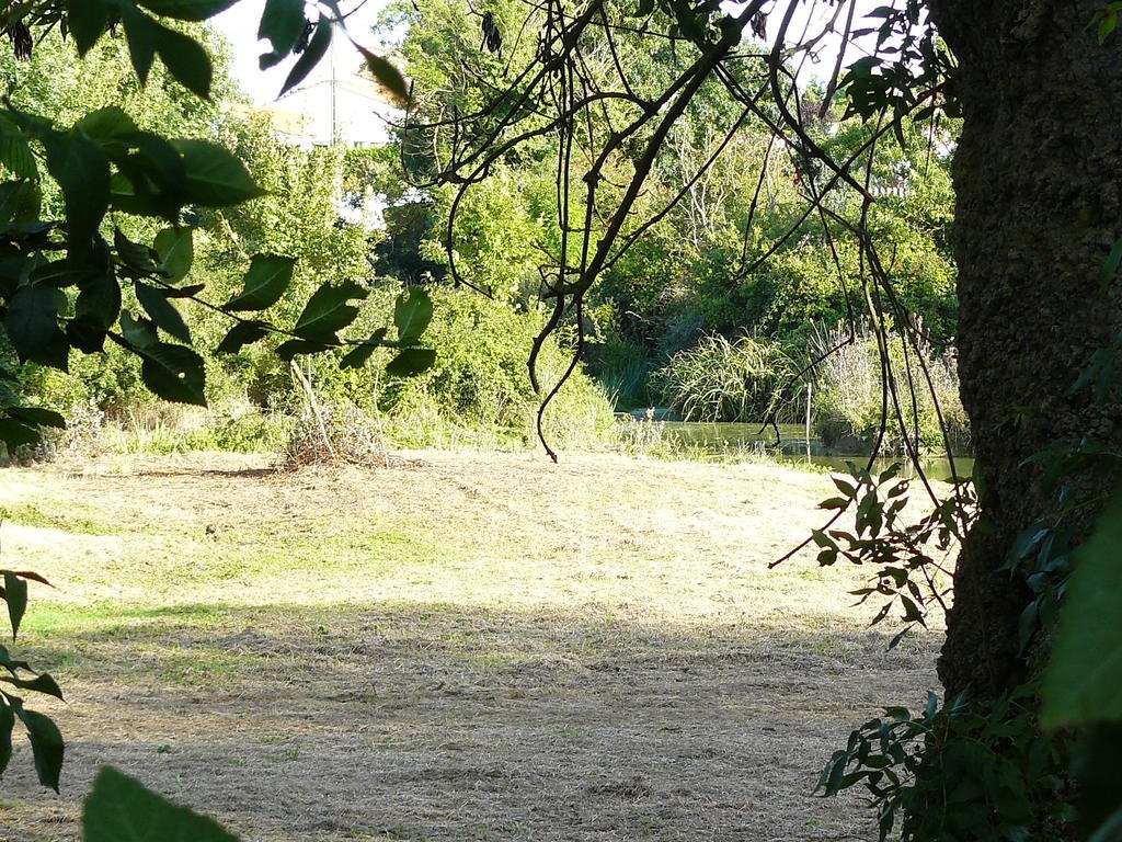 Les Plenitudes Du Rivage Villa Saint-Vincent-sur-Jard Luaran gambar